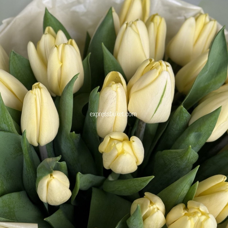 Желтый букет из тюльпанов, 21шт