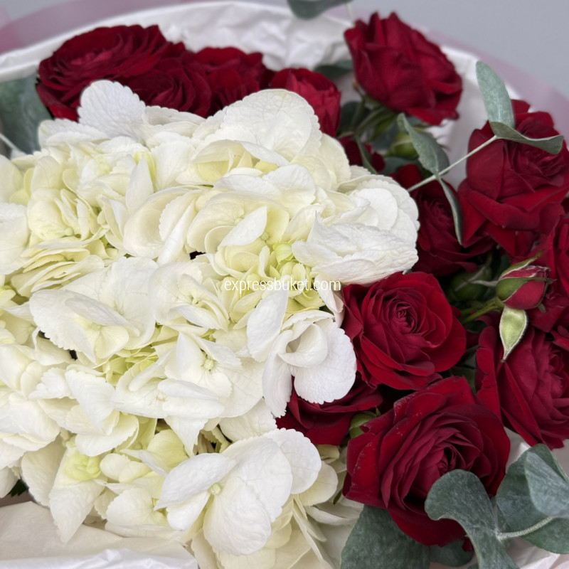 Красный шлейф